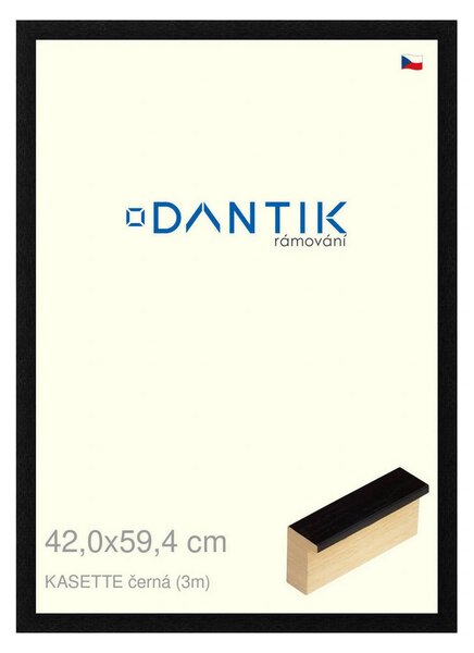 DANTIK rám na obraz 42x59,4 | KASSETTE černá (Plexi Čiré)