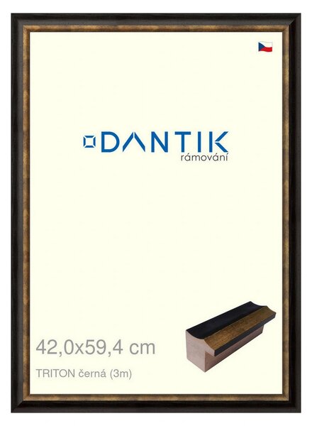 DANTIK rám na obraz 42x59,4 | TRITON černá (Plexi Čiré)