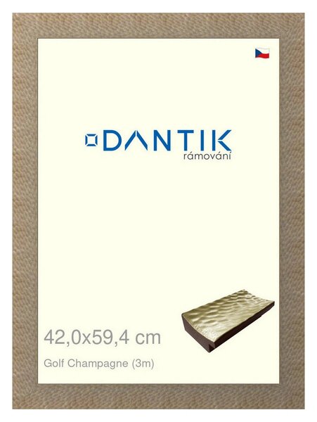 DANTIK rám na obraz 42x59,4 | Golf champagne (Plexi Čiré)