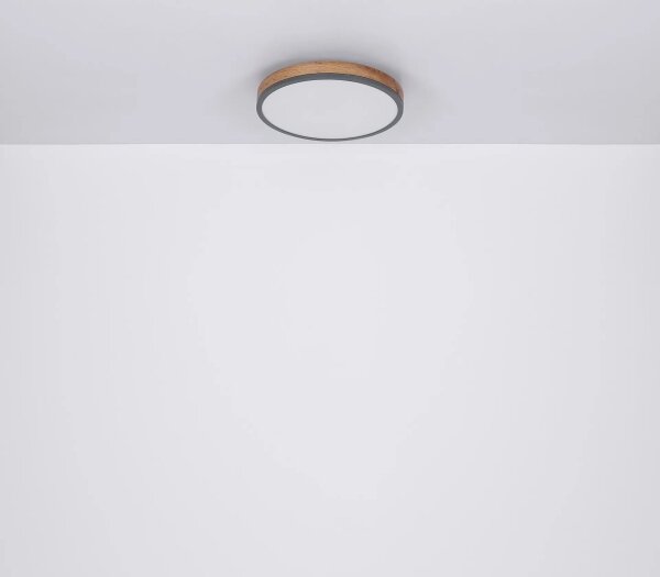 Globo 416080WD4R-CCT - LED Stmiev. stropné svietidlo DORO LED/40W/230V 2700-6500K + DO