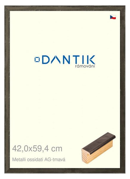 DANTIK rám na obraz 42x59,4 | Metalli oidati AG tmavá (Plexi Čiré)