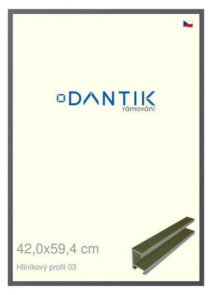 DANTIK rám na obraz 42x59,4 | ALU Platina matná (Plexi Čiré)