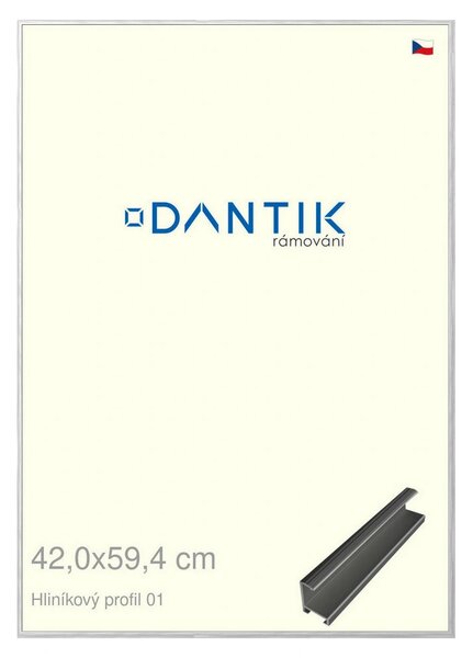DANTIK rám na obraz 42x59,4 | ALU Stříbrná lesklá (Plexi Čiré)