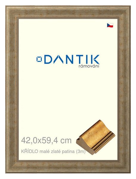 DANTIK rám na obraz 42x59,4 | KŘÍDLO malé zlaté patina (Plexi Čiré)