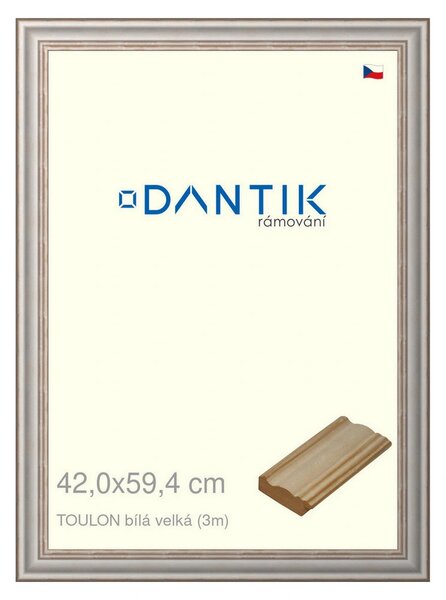 DANTIK rám na obraz 42x59,4 | TOULON bílá velká (Plexi Čiré)