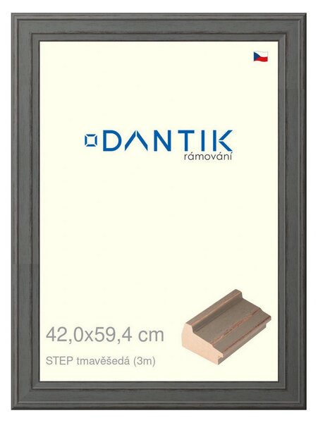 DANTIK rám na obraz 42x59,4 | STEP tmavěšedá (Plexi Čiré)