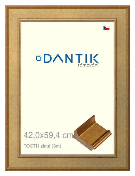DANTIK rám na obraz 42x59,4 | TOOTH zlatá (Plexi Čiré)