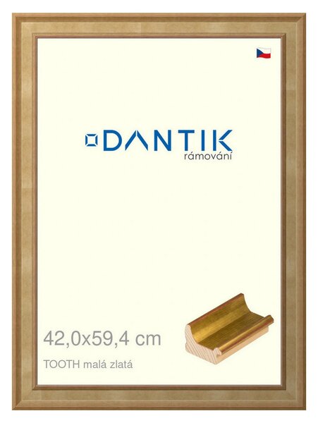 DANTIK rám na obraz 42x59,4 | TOOTH malá zlatá (Plexi Čiré)