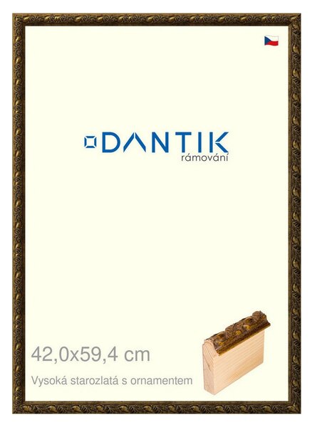 DANTIK rám na obraz 42x59,4 | Vysoká starozlatá s ornamentem (Plexi Čiré)
