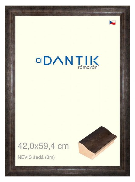 DANTIK rám na obraz 42x59,4 | NEVIS šedá (Plexi Čiré)