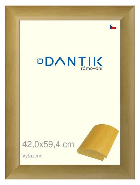DANTIK rám na obraz 42x59,4 | Vyřazeno | RENÉ přírodní (Plexi Čiré)