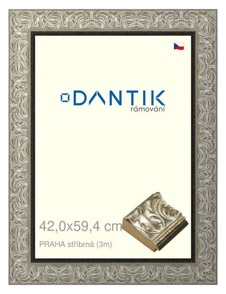 DANTIK rám na obraz 42x59,4 | PRAHA stříbrná (Plexi Čiré)