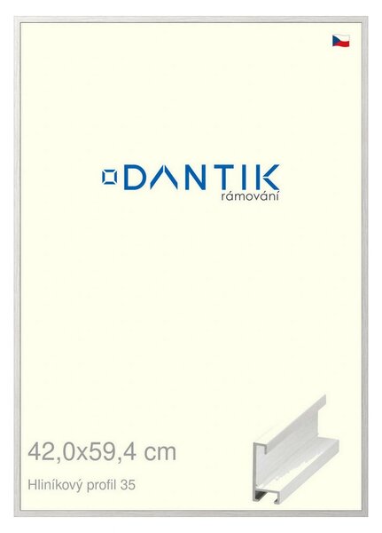 DANTIK rám na obraz 42x59,4 | ALU Dýha bílá (Plexi Čiré)