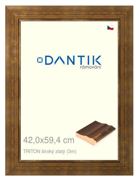 DANTIK rám na obraz 42x59,4 | TRITON široký zlatý (Plexi Čiré)