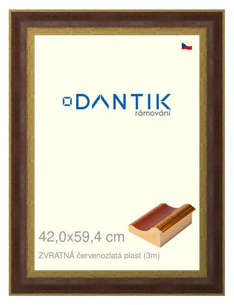 DANTIK rám na obraz 42x59,4 | ZVRATNÁ červenozlatá plast (Plexi Čiré)