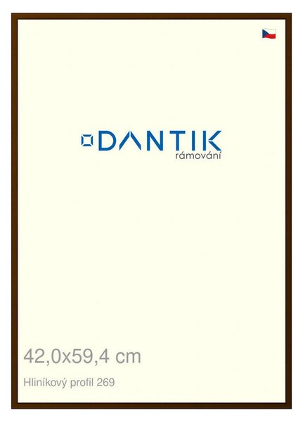 DANTIK rám na obraz 42x59,4 | ALU Hnědá umbra broušená (Plexi Čiré)