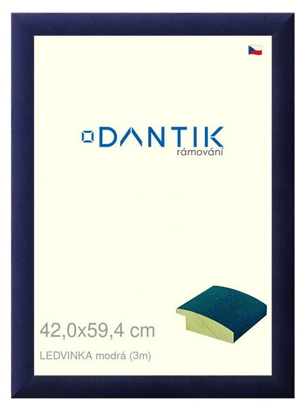 DANTIK rám na obraz 42x59,4 | LEDVINKA modrá (Plexi Čiré)