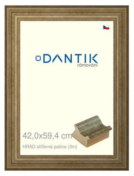 DANTIK rám na obraz 42x59,4 | HRAD stříbrná patina (Plexi Čiré)