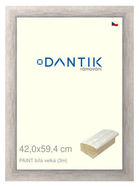 DANTIK rám na obraz 42x59,4 | PAINT bílá velká (Plexi Čiré)