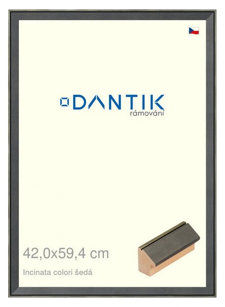 DANTIK rám na obraz 42x59,4 | INCLINATA colori šedá (Plexi Čiré)