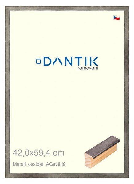 DANTIK rám na obraz 42x59,4 | Metalli oidati AGsvětlá (Plexi Čiré)