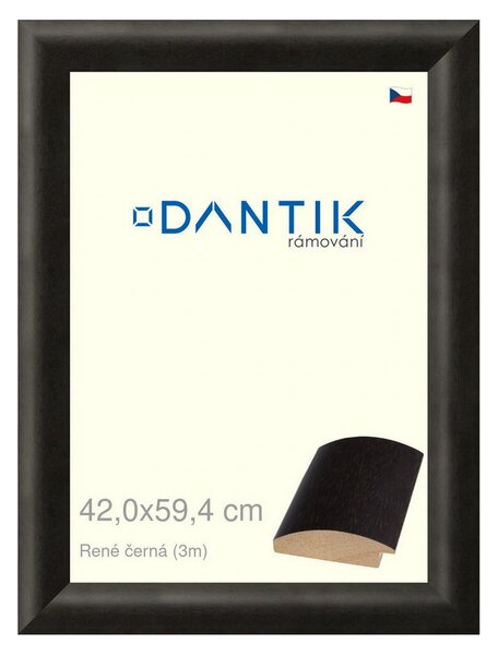 DANTIK rám na obraz 42x59,4 | René černá (Plexi Čiré)