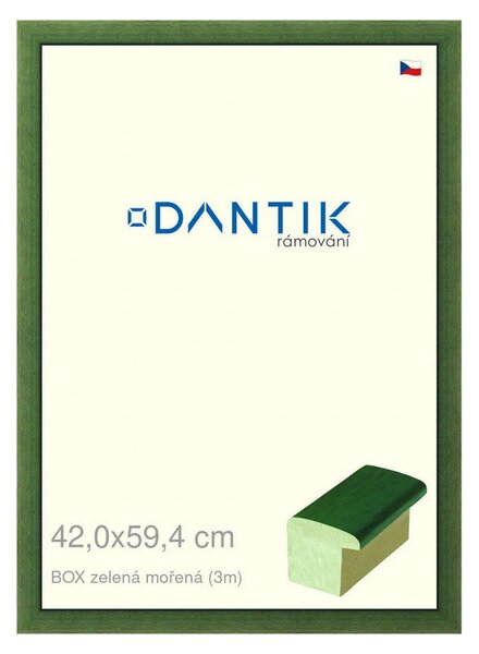 DANTIK rám na obraz 42x59,4 | BOXzelená mořená (Plexi Čiré)
