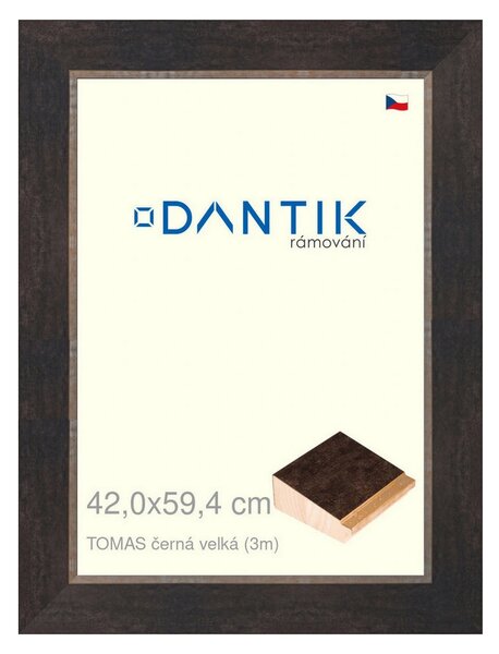 DANTIK rám na obraz 42x59,4 | TOMAS černá velká (Plexi Čiré)