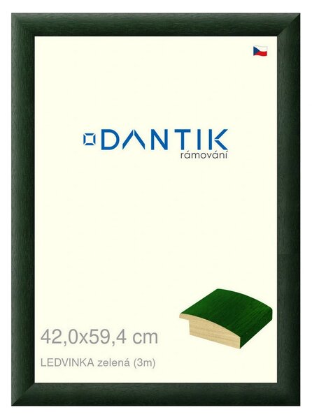 DANTIK rám na obraz 42x59,4 | LEDVINKA zelená (Plexi Čiré)
