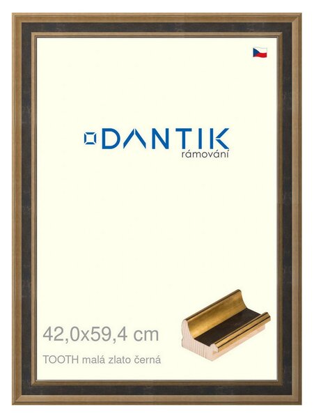 DANTIK rám na obraz 42x59,4 | TOOTH malá zlato černá (Plexi Čiré)