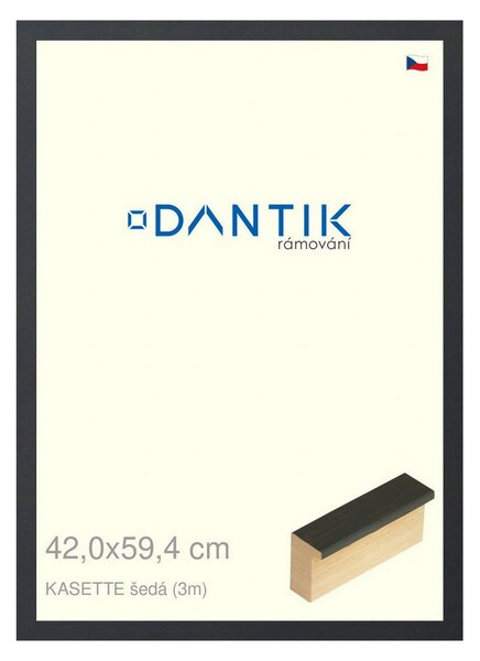 DANTIK rám na obraz 42x59,4 | KASSETTE šedá (Plexi Čiré)