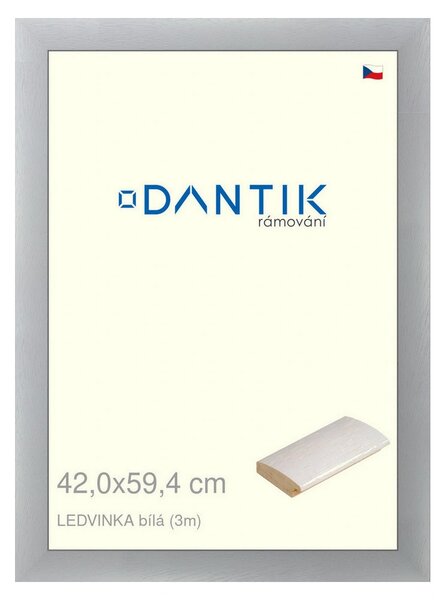 DANTIK rám na obraz 42x59,4 | LEDVINKA bílá (Plexi Čiré)