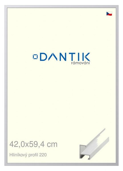 DANTIK rám na obraz 42x59,4 | ALU Bílá matná (Plexi Čiré)
