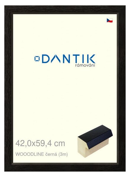 DANTIK rám na obraz 42x59,4 | WOODLINE černá (Plexi Čiré)