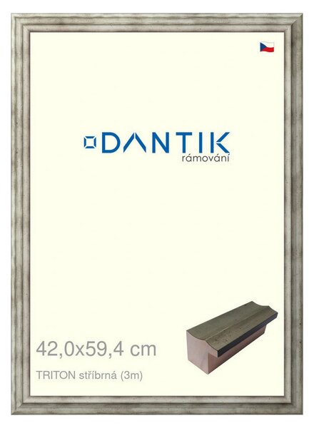 DANTIK rám na obraz 42x59,4 | TRITON stříbrná (Plexi Čiré)
