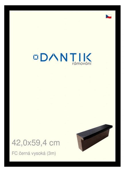 DANTIK rám na obraz 42x59,4 | FC černá vysoká (Plexi Čiré)