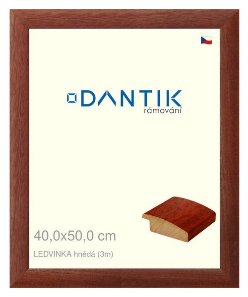 DANTIK rám na obraz 40x50 | LEDVINKA hnědá (Plexi Čiré)