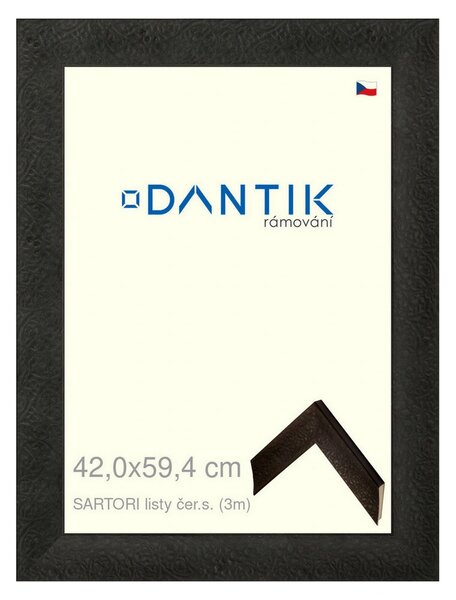 DANTIK rám na obraz 42x59,4 | SARTORI listy čer.s. (Plexi Čiré)