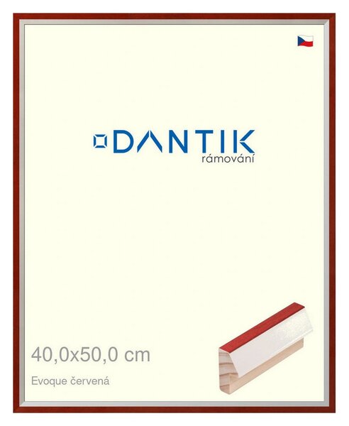 DANTIK rám na obraz 40x50 | EVOQUE červená (Plexi Čiré)