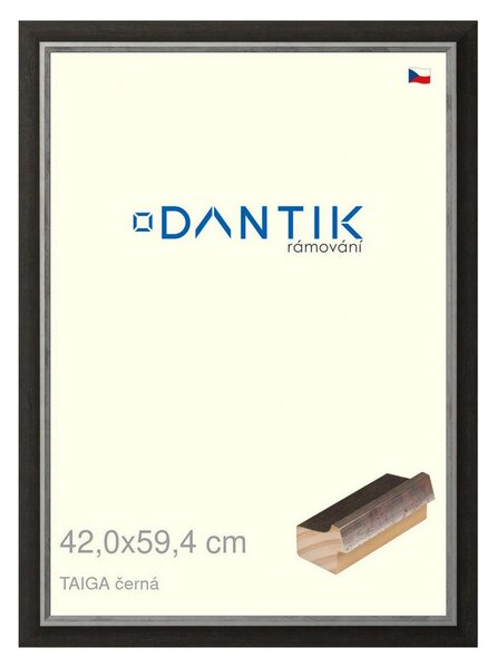 DANTIK rám na obraz 42x59,4 | TAIGA černá (Plexi Čiré)