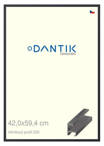 DANTIK rám na obraz 42x59,4 | ALU Černá matná (Plexi Čiré)