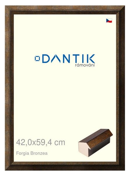 DANTIK rám na obraz 42x59,4 | Forgia Bronzea (Plexi Čiré)
