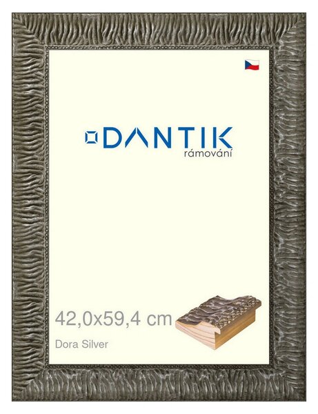 DANTIK rám na obraz 42x59,4 | Dora Silver (Plexi Čiré)