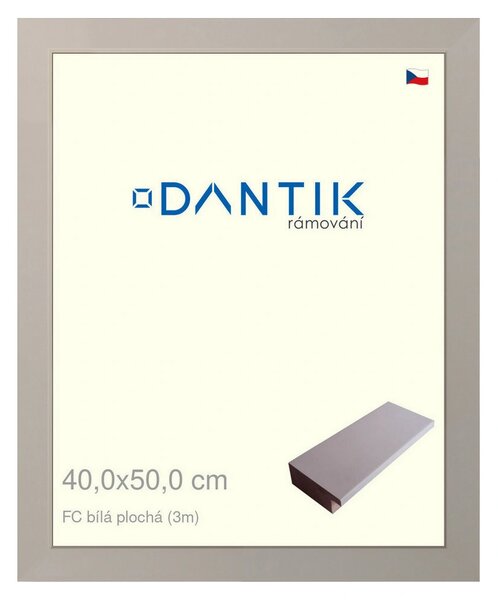 DANTIK rám na obraz 40x50 | FC Bílá plochá (Plexi Čiré)