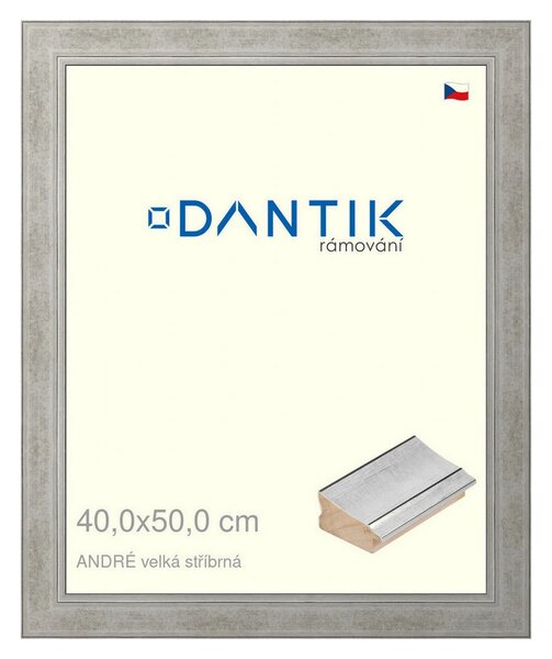 DANTIK rám na obraz 40x50 | ANDRÉ velká stříbrná (Plexi Čiré)