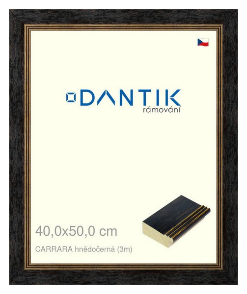 DANTIK rám na obraz 40x50 | CARRARA hnědočerná (Plexi Čiré)
