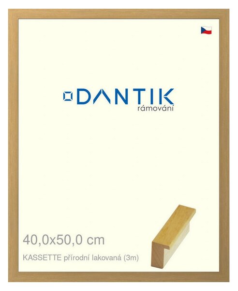 DANTIK rám na obraz 40x50 | KASSETTE přírodní lakovaná (Plexi Čiré)