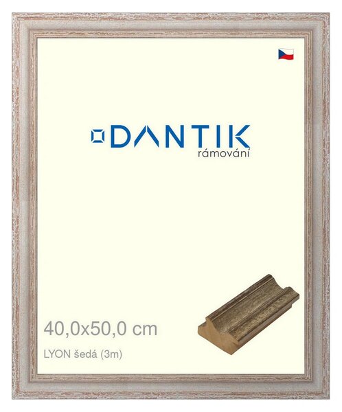 DANTIK rám na obraz 40x50 | LYON šedá (Plexi Čiré)