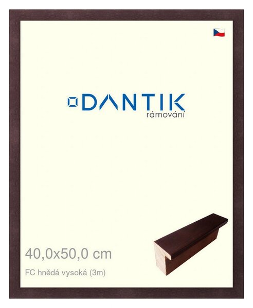 DANTIK rám na obraz 40x50 | FC hnědá vysoká (Plexi Čiré)