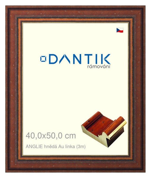 DANTIK rám na obraz 40x50 | ANGLIE hnědá Au linka (Plexi Čiré)